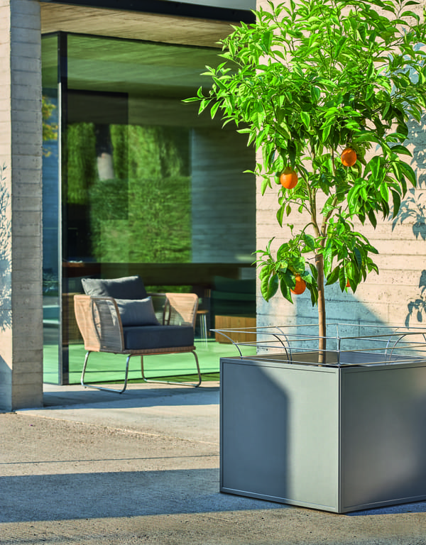 Garpa Pflanzkübel Antony mit Orangenbaum bepflanzt auf Terrasse. Amari Loungesessel im Hintergrund
