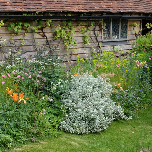 Üppig blühendes Blumenbeet im Cottage Garten