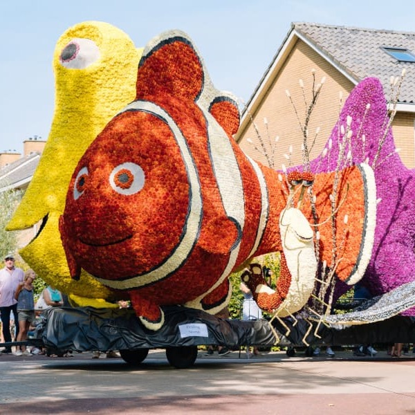 Aufwendig mit Dahlien dekorierter Festwagen auf einem Blumencorso