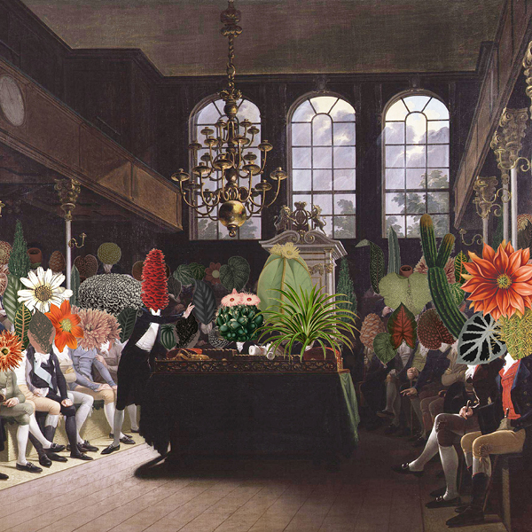 Bild Parlament der Pflanzen