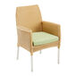 Sitzkissen Globe Armchair/Chair Dessin "Lime"