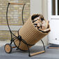 Garten Caddie