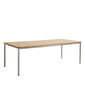 Portland Tisch Edelstahl 220 x 100 Tischplatte Teak