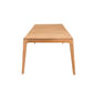 Clark Dining Table 300 x 100