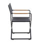 Lean Director's Chair Graphit