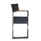 Lean Director's Chair Graphit