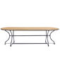 Fontenay Tisch Oval 260 x 100 Teak