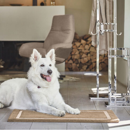 Eingangsteppich Beige