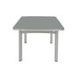 Temper Tisch Eloxal 220 x 100 Tischplatte Glas