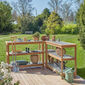Aven Regal 124 x 50