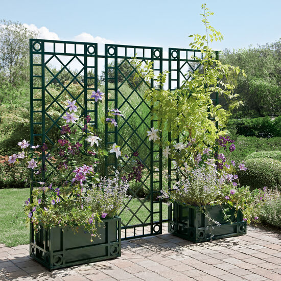 Orangerie Rankelement schmal