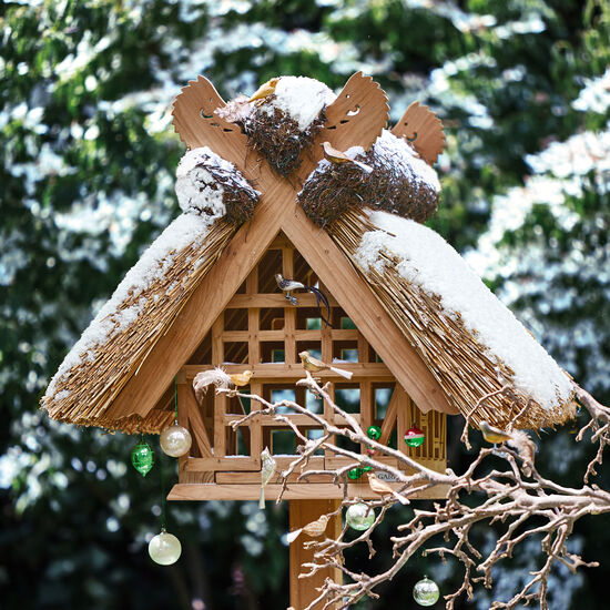 Vogelhaus Reet Teak
