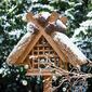 Vogelhaus Reet Teak