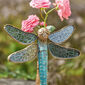 Libelle, limitierte Auflage