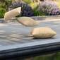 Sinfonia Kissenset Beige