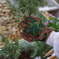 A1-1092-1093-telford-gartenhandschuhe-1500x1500