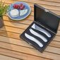 A0-1063-roquefort-kaesemesser-set-1500x1500