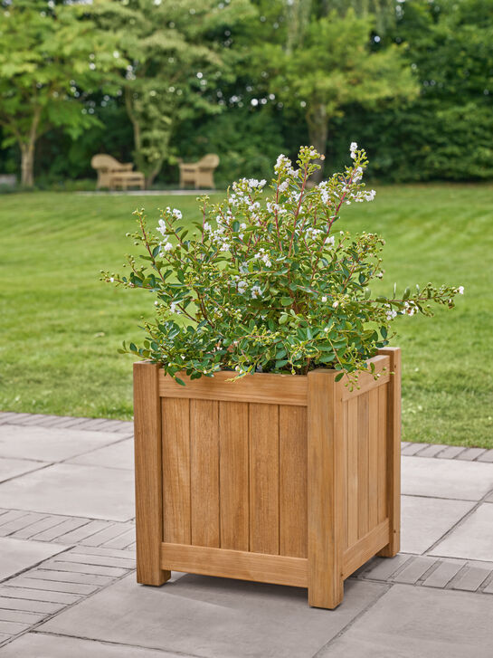 Ashford Pflanzkübel 46 x 46