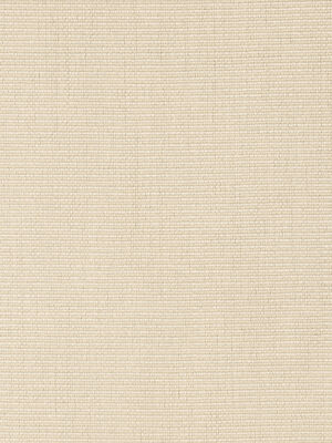 Rückenkissen Savannah 45 x 35 Dune