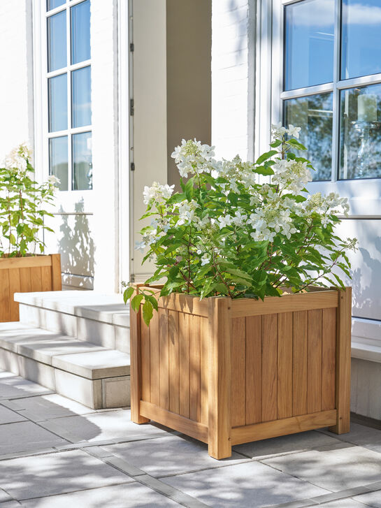 Ashford Pflanzkübel 60 x 60